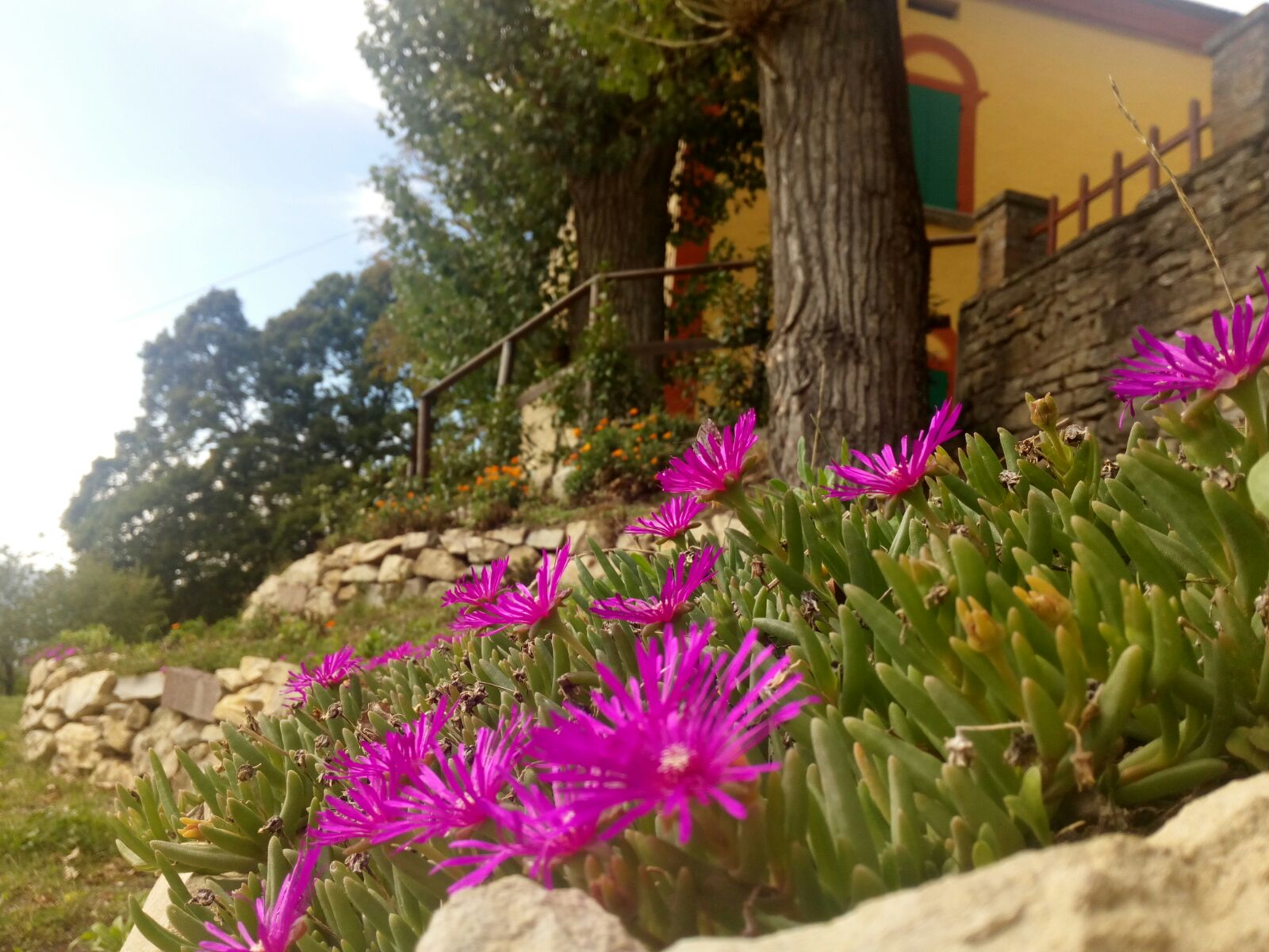 WhatsApp Image 2017-11-04 at 20.50.38